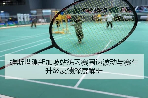 维斯塔潘新加坡站练习赛圈速波动与赛车升级反馈深度解析